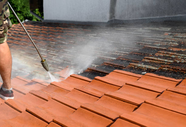Best Pressure Washing Near Me  in Highlands Ranch, CO